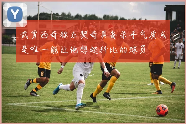 武贾西奇称东契奇具备杀手气质或是唯一能让他想起科比的球员